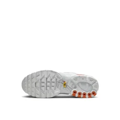 New Air Max Plus Utility Træningssko