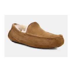 New Ascot Slipper Hjemmesko