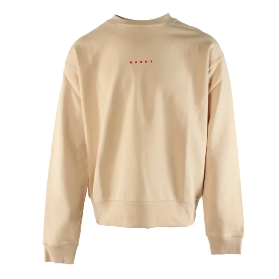 Bomulds Sweater Trøjer|Sweatshirts
