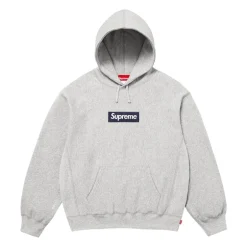 Online Box Logo Hooded Sweatshirt Trøjer