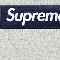 Online Box Logo Hooded Sweatshirt Trøjer