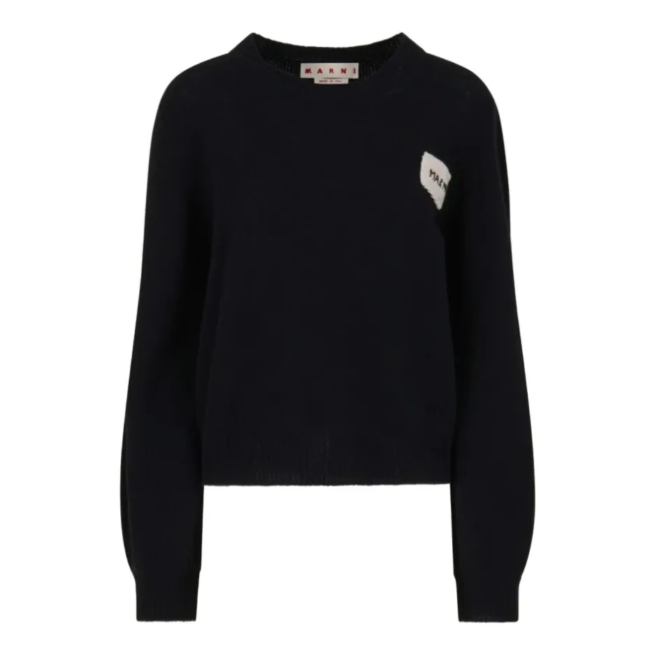 Hot Luksuriøs Cashmere Sweater AW25 Dame Striktrøjer & Sweatere