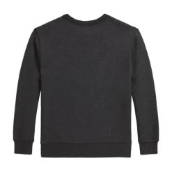 Online Polo Bear Sweatshirt Sweatshirts