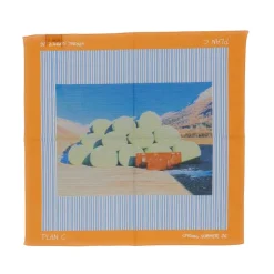 Discount Scarves Dame Tørklæder